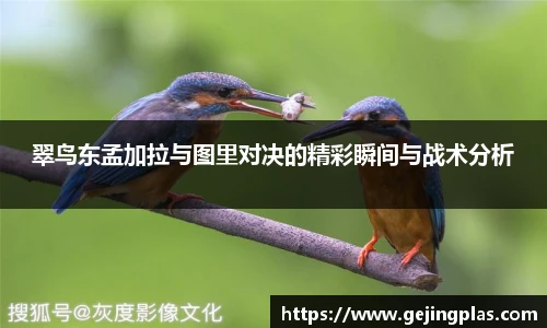 翠鸟东孟加拉与图里对决的精彩瞬间与战术分析